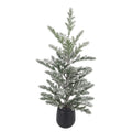 58cm Snowy Green Pine Decorative Tree in Black Pot