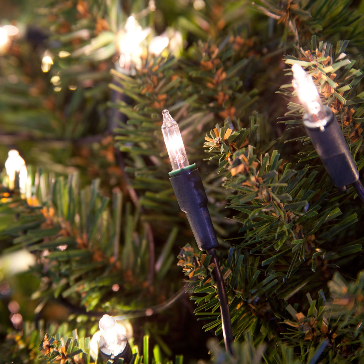 100 Fairy Christmas Lights