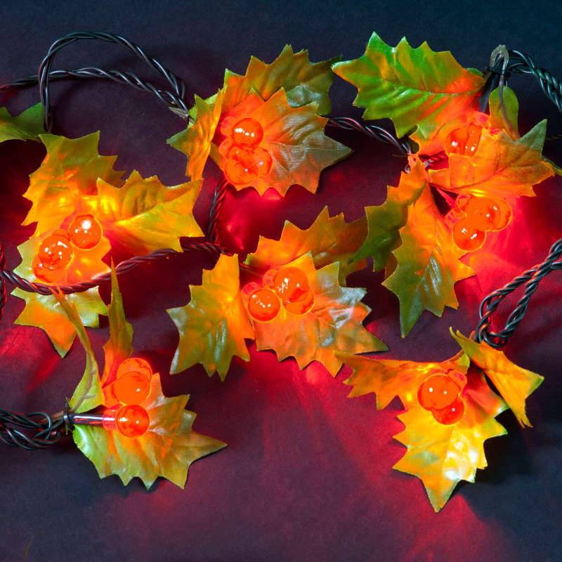Red Holly Berry Indoor & Outdoor Static LED Christmas Lights