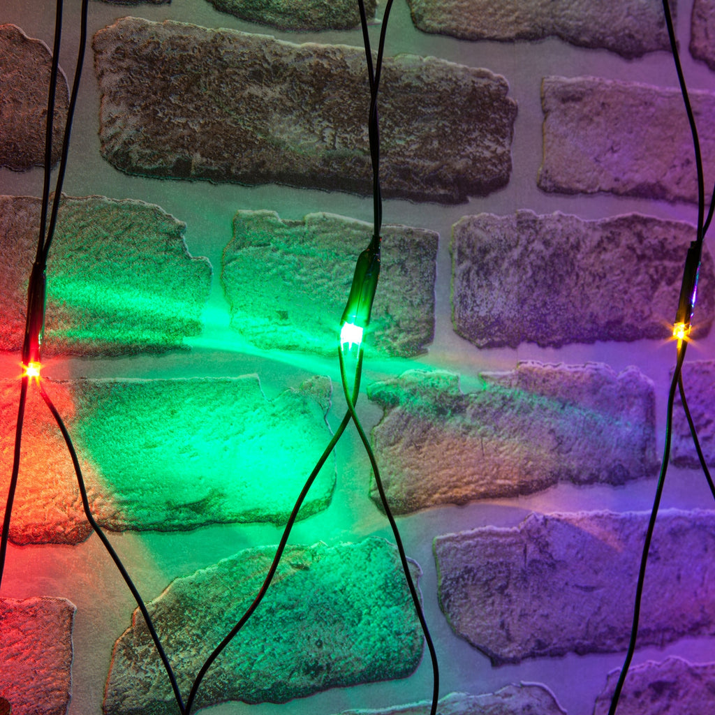 4ft Christmas Twinkling Chasing Net Lights With 100 LEDs