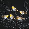 5 Acrylic Robin Lights w/30 Ice White LEDs/Clip-On Christmas Lights