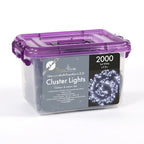 2000 LED Cluster Lights with Timer