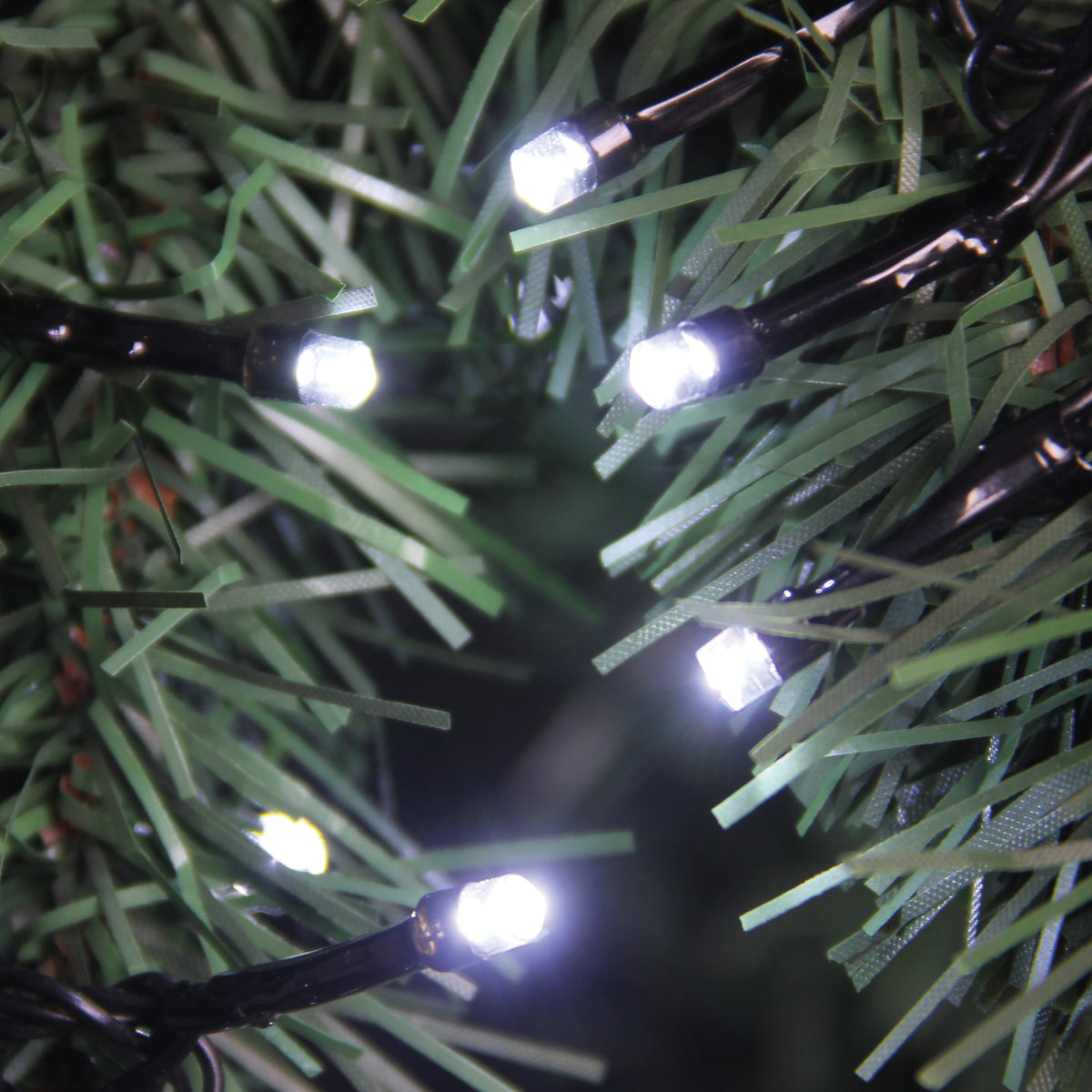100 White LED Chasing Lights - Backorder Available