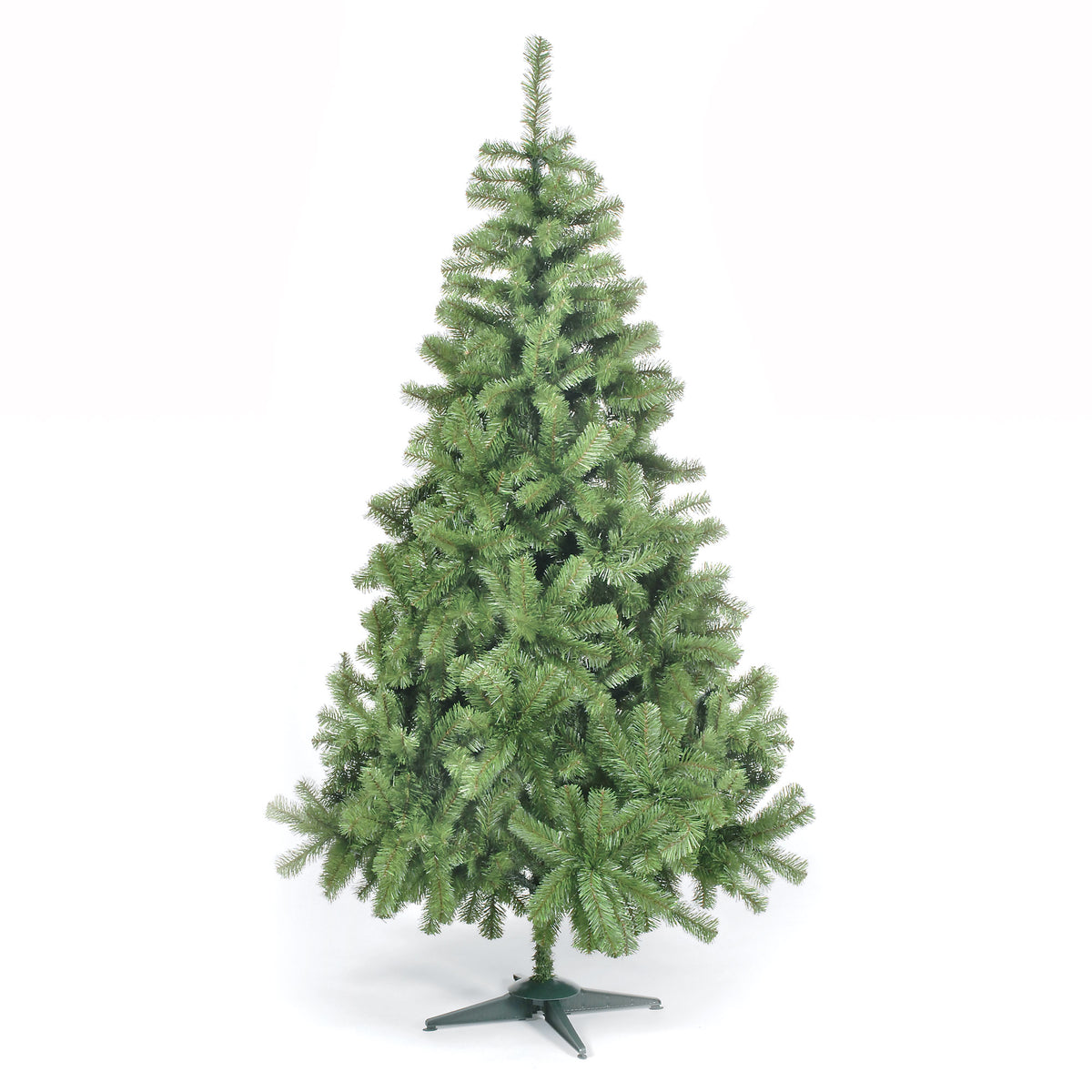 270cm Colorado Spruce with 1463 Tips