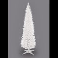 White Pencil Pine Christmas Tree