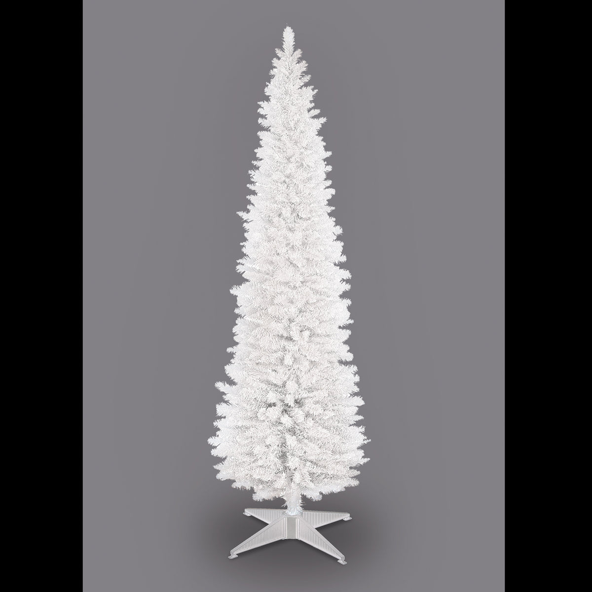 White Pencil Pine Christmas Tree