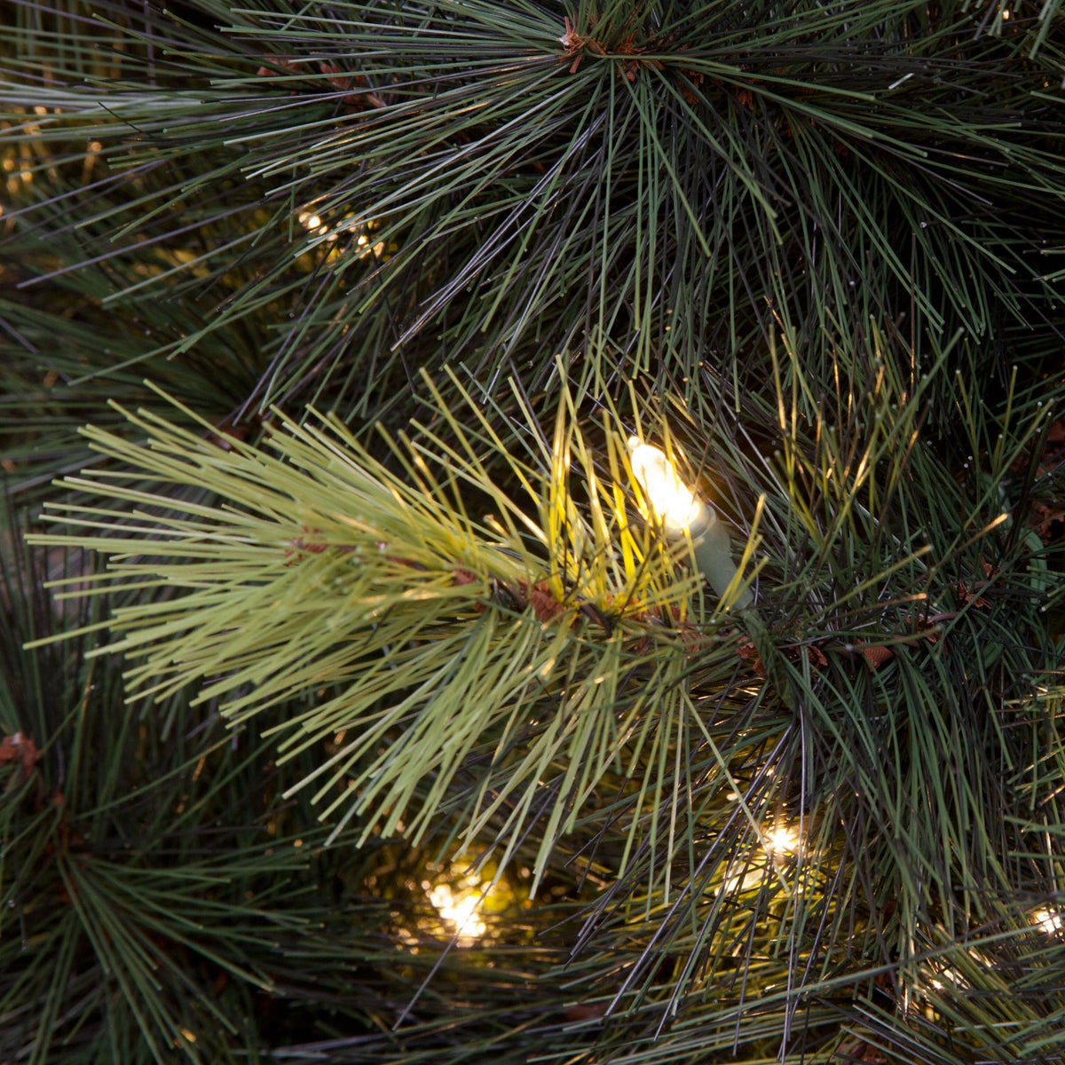 Pre-Lit Scots Pine Warm White LED Christmas Tree