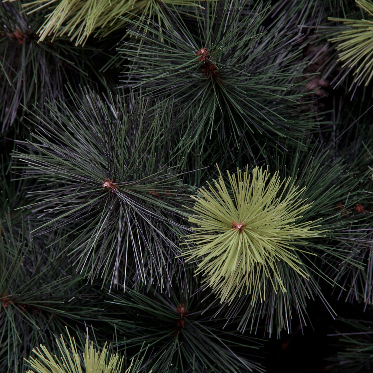 Natural Needle PE Scots Pine Christmas Tree