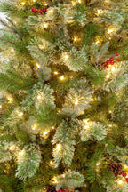 210cm Biarritz Spruce Pre-Lit PE Tree