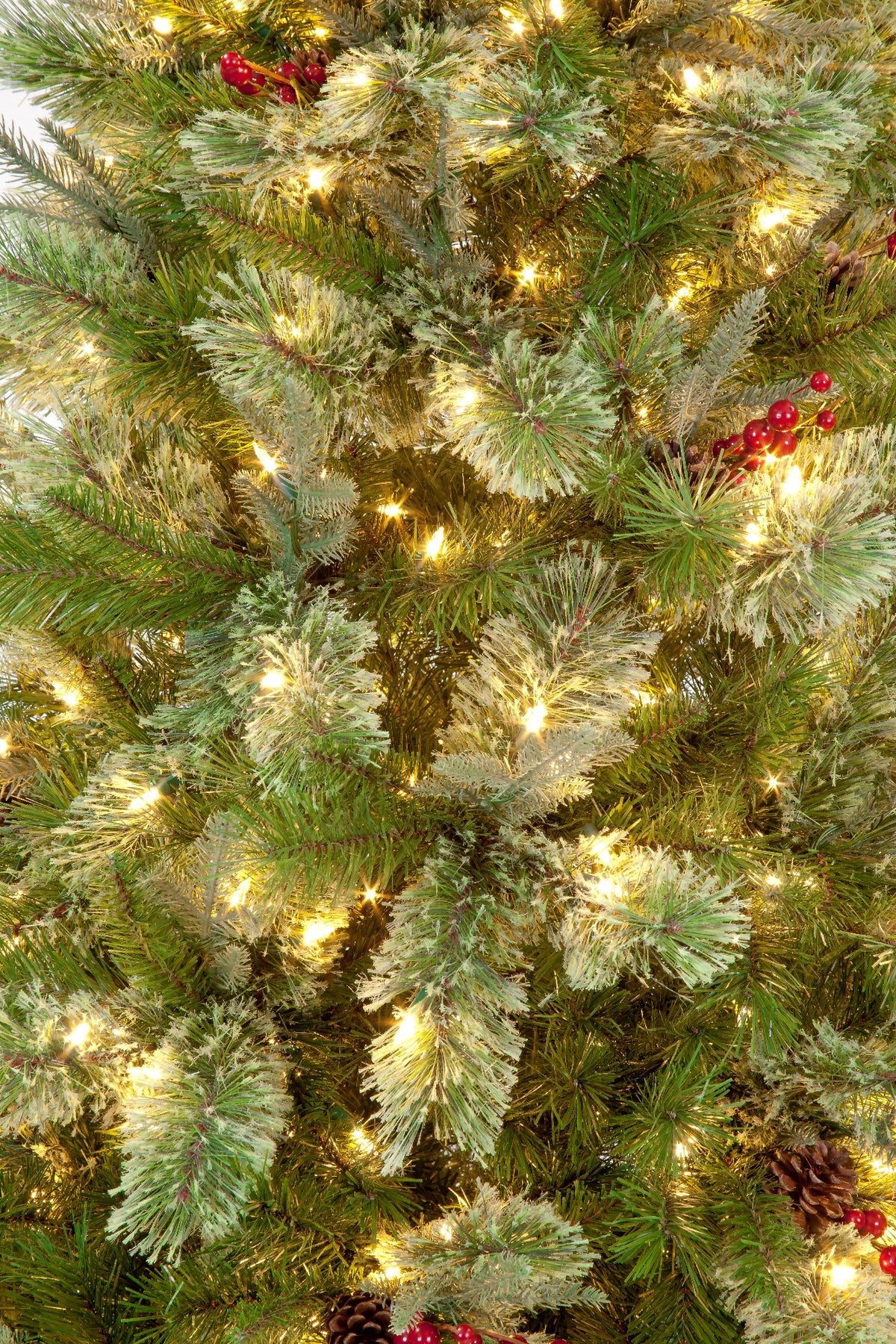 210cm Biarritz Spruce Pre-Lit PE Tree
