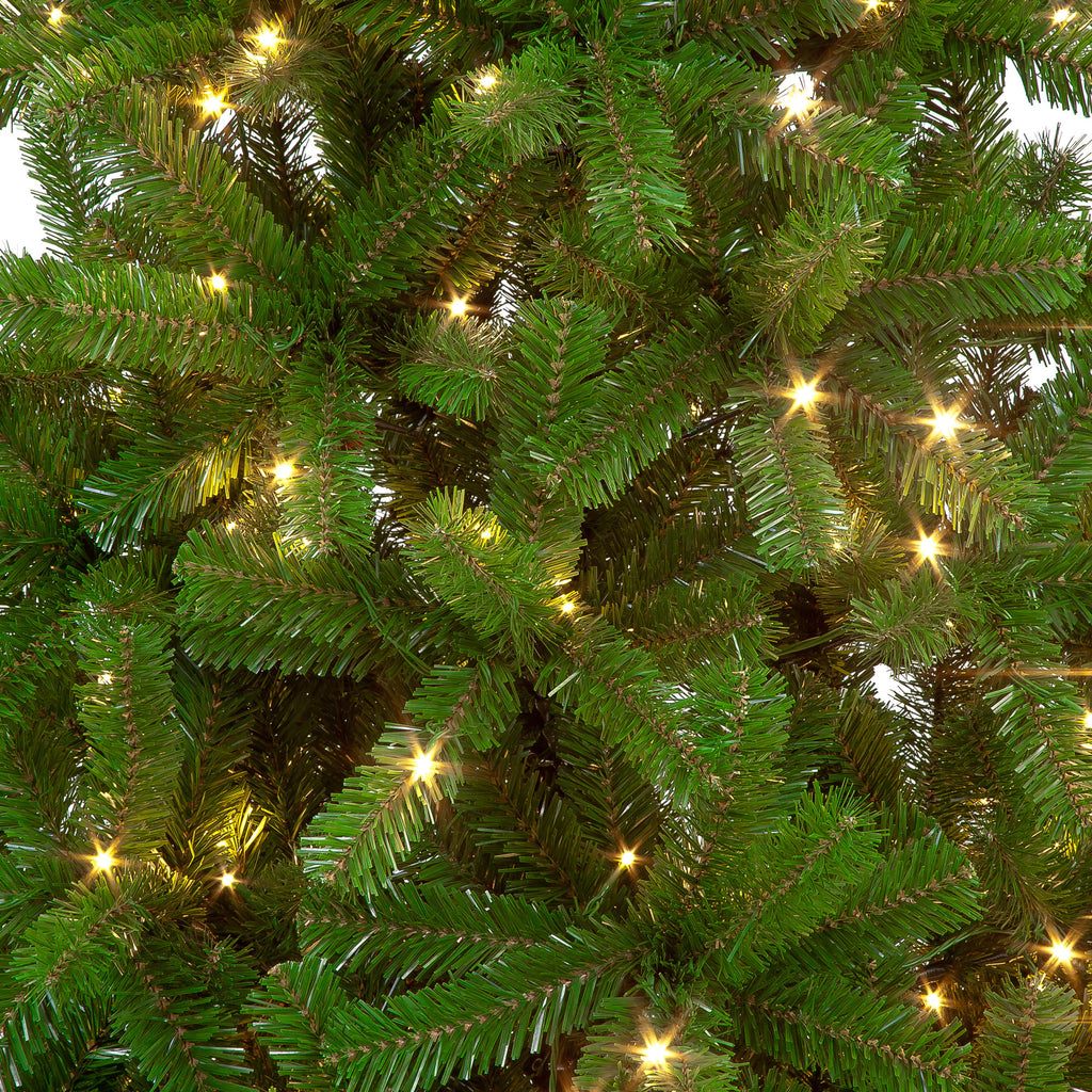 Randolph Pine Pre-Lit LED Christmas Tree