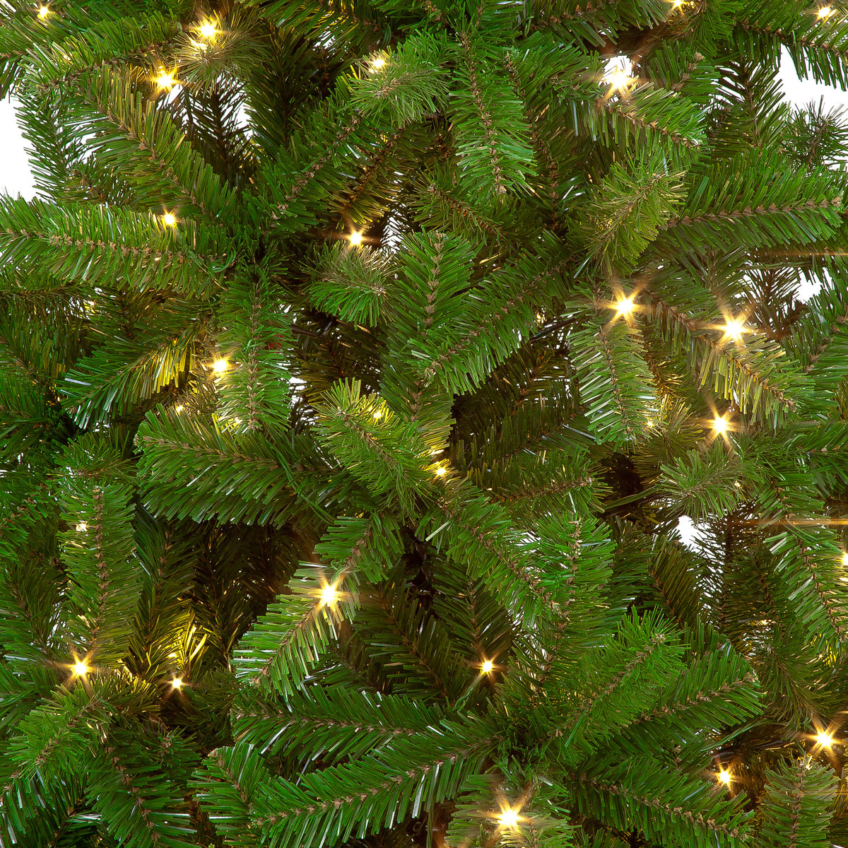 Randolph Pine Pre-Lit LED Christmas Tree