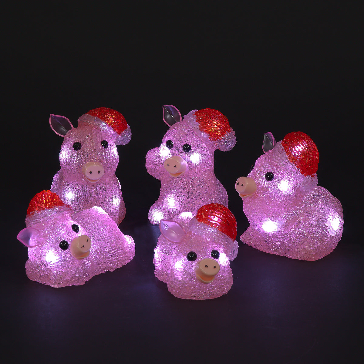 Set of 5 Acrylic Pigs with 40 White LEDs