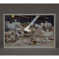 LED Wall Art: White Nativity Scene - 40x60cm