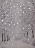 Frosted Forest' Illuminated Canvas 30cm x 40cm