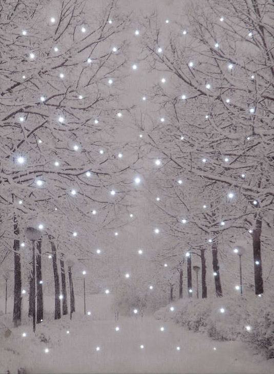 Frosted Forest' Illuminated Canvas 30cm x 40cm