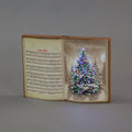 Battery Operated Fibre Optic 35x25cm Book Canvas