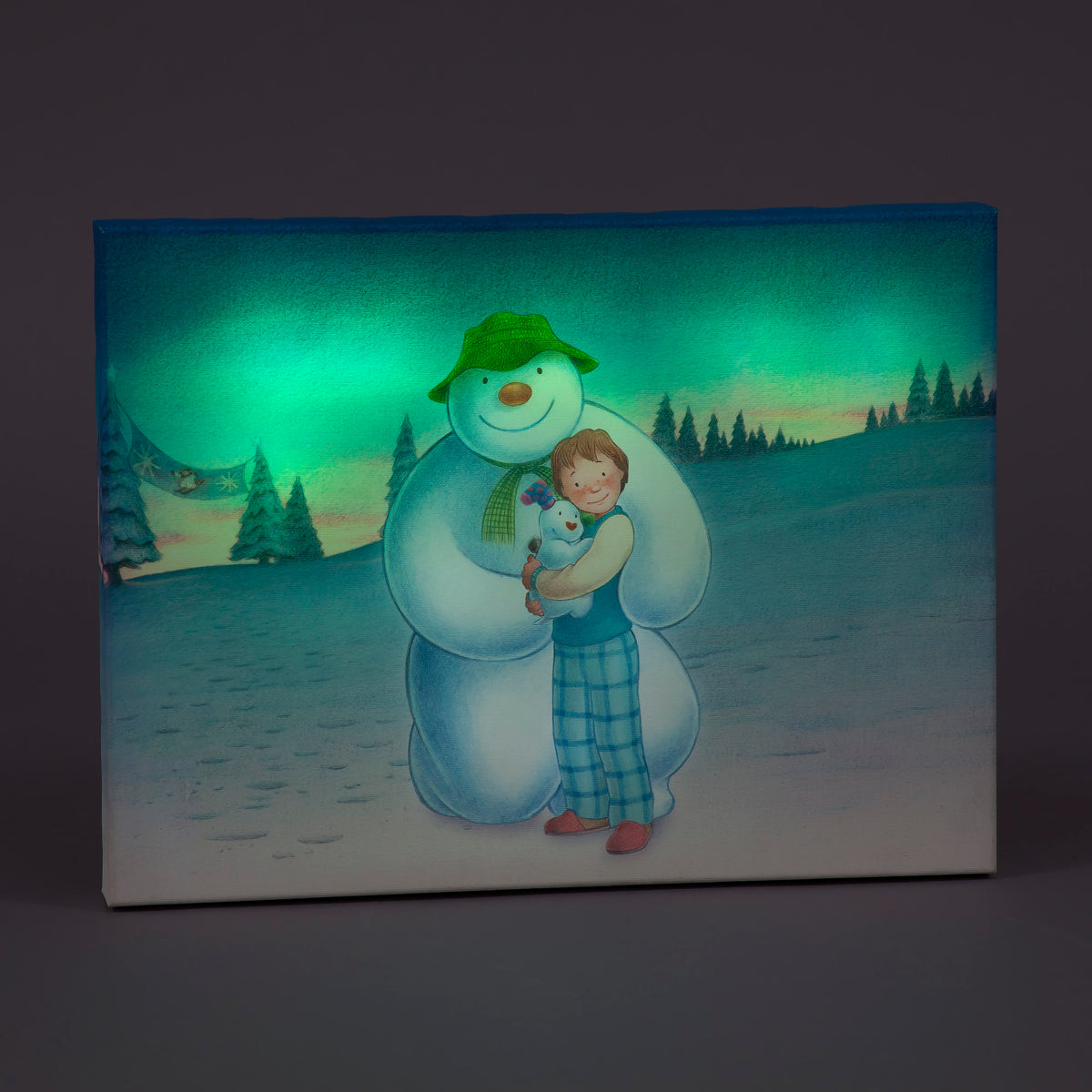 Battery Operated 30x40cm Colour Change LED Snowman Snowdog & Billy Christmas Decoration