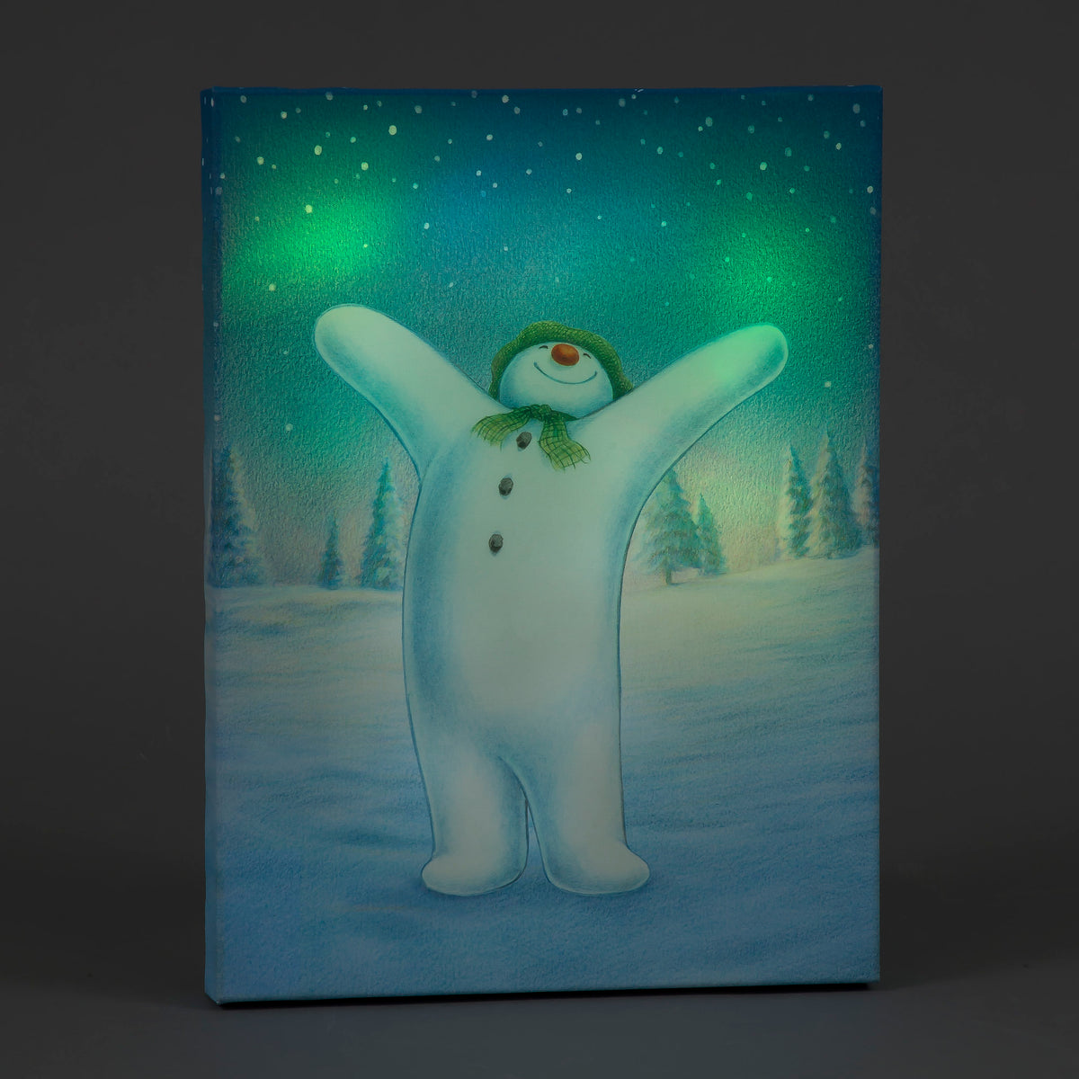 Battery Operated 30x40cm Colour Change LED Snowman in the Snow Christmas Decoration