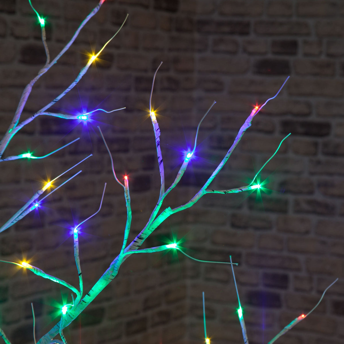 Birch Tree With Multi-Coloured LEDs