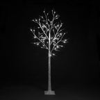 Birch Tree With Ice White LEDs