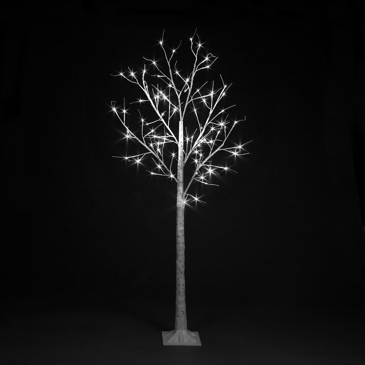Birch Tree With Ice White LEDs