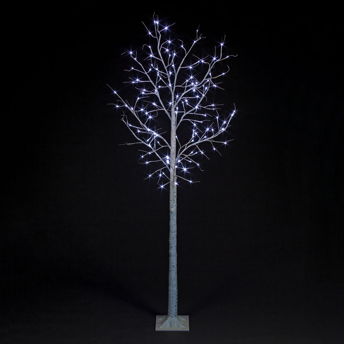 Birch Tree With Ice White LEDs