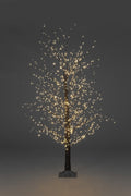 1.5m Black Micro Dot Tree w/900 Warm White LEDs Christmas Trees