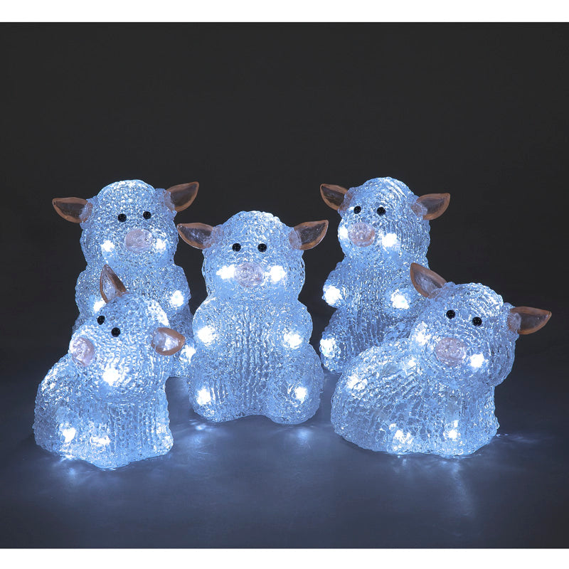 5pc Set of Acrylic LED Lit Piglets