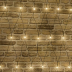 7ft 10in Chasing Net Light With 240 LEDs