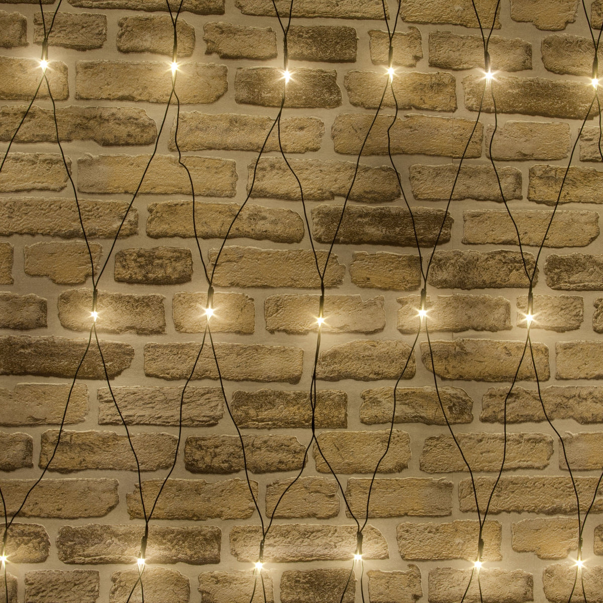 7ft 10in Chasing Net Light With 240 LEDs
