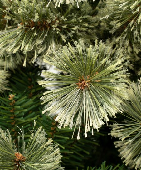 Traditional Arcadia Full Cashmere Christmas Tree
