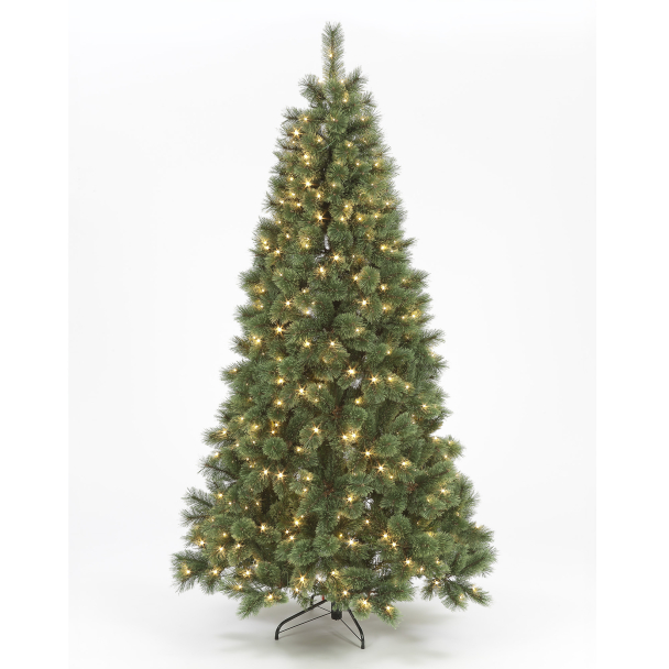 225cm Pre-Lit Baltimore Pine w/430 Warm White LEDs Christmas Trees
