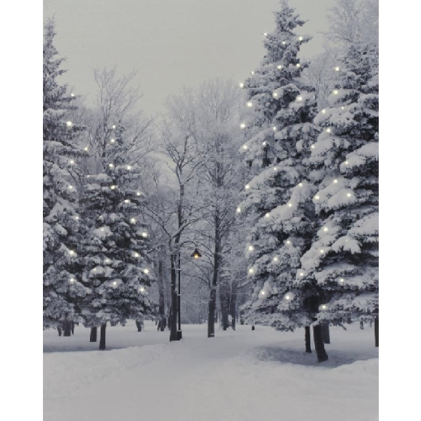 Woodland Snow Scene Canvas