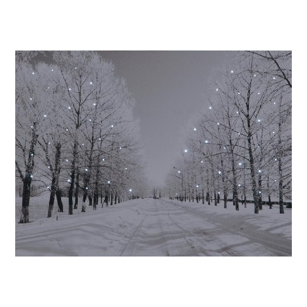 Battery Operated Fibre Optic Canvas With Tree-Lined Snowy Avenue At Night 70cm x 50cm