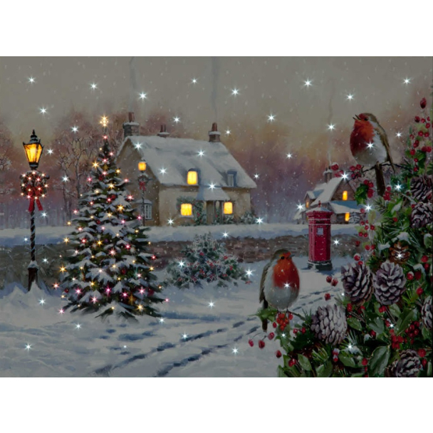 Fibre Optic LED Robins Christmas Canvas by Richard Macneil 40cm x 30cm 