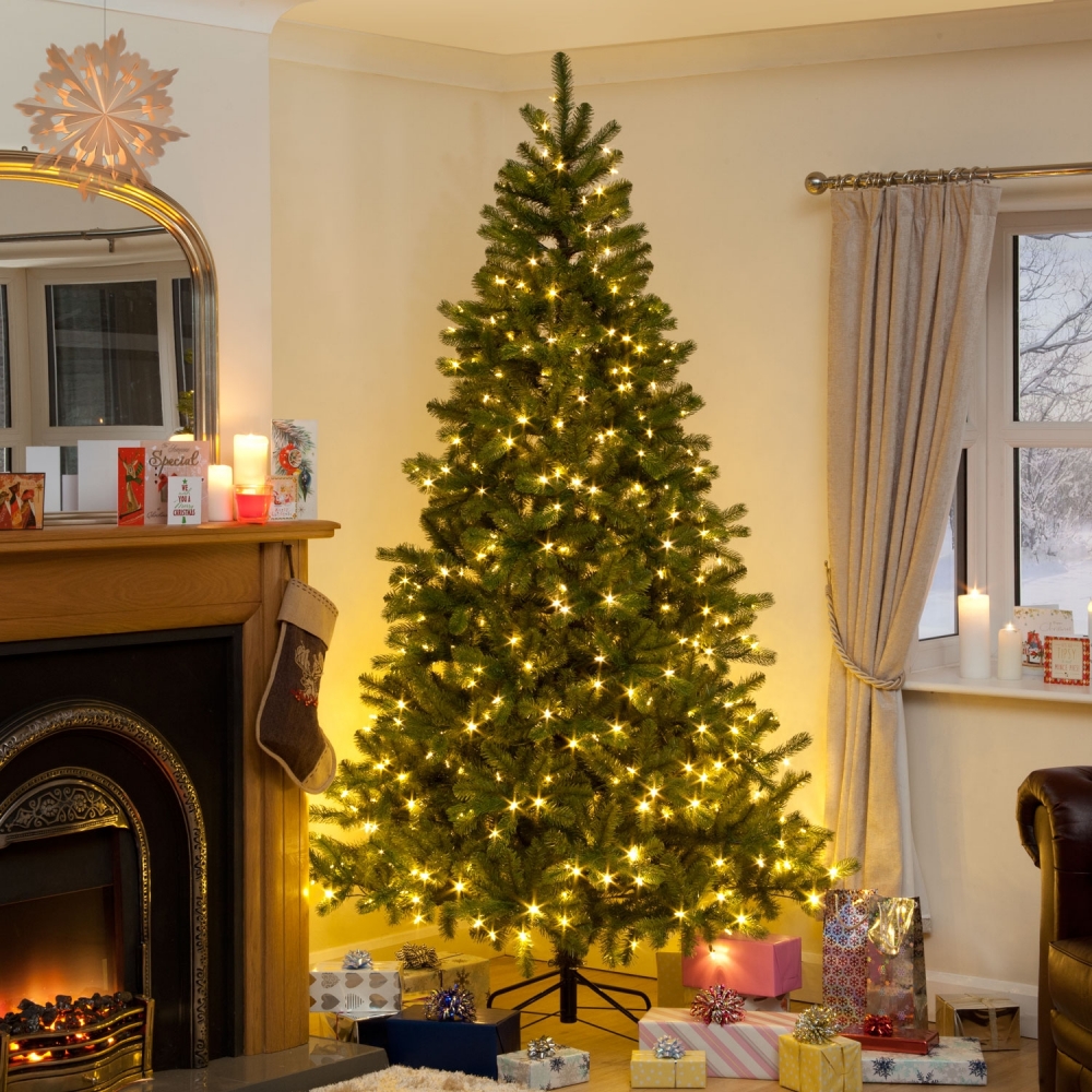 Special christmas tree hotsell