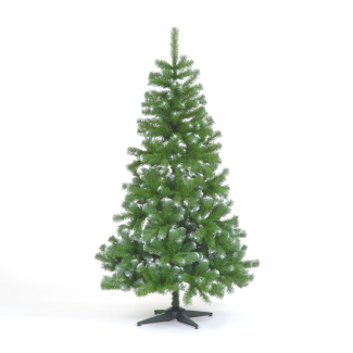 240cm Frosted Green Slim Spruce Christmas Tree