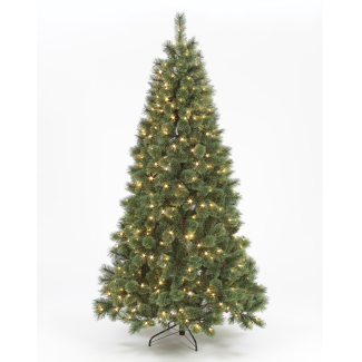 225cm Pre-Lit Baltimore Pine w/430 Warm White LEDs Christmas Trees