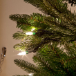 Close-Up on Aspen Pine Luxury PE Branches
