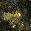 Close-Up on Pre-Lit Scots Pine Luxury PE Branches