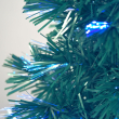 Close-Up on Sunburst Tree Branches