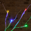Close-up on Birch Tree Multi-Coloured LED Bulbs