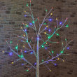 Zoom in on Birch Tree With Multi-Coloured LEDs